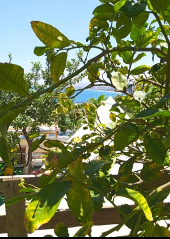 Luxe tent Queens Luxury Glamping Palaiokastro (Crete)