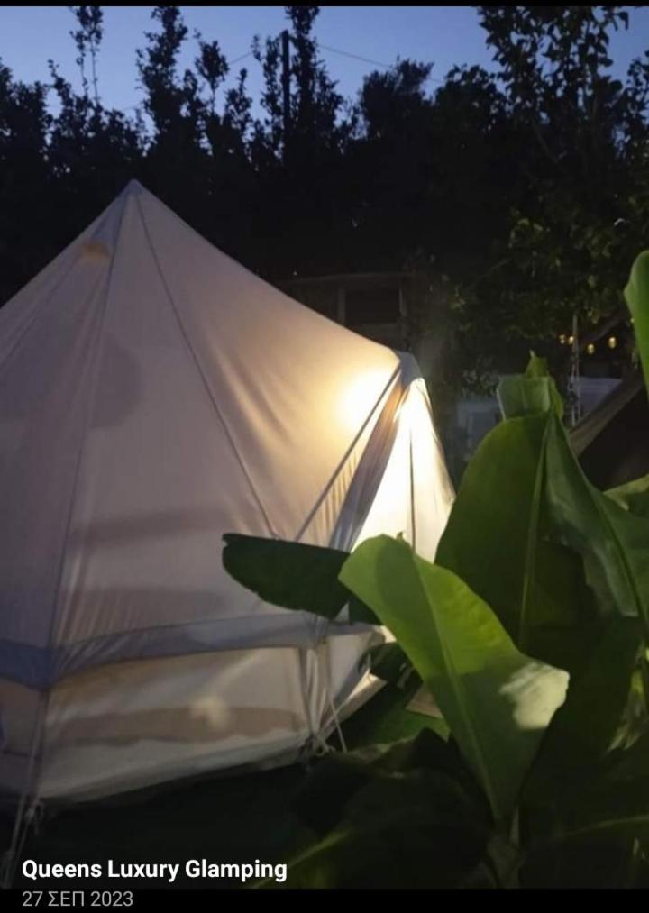 Tente de luxe Queens Luxury Glamping