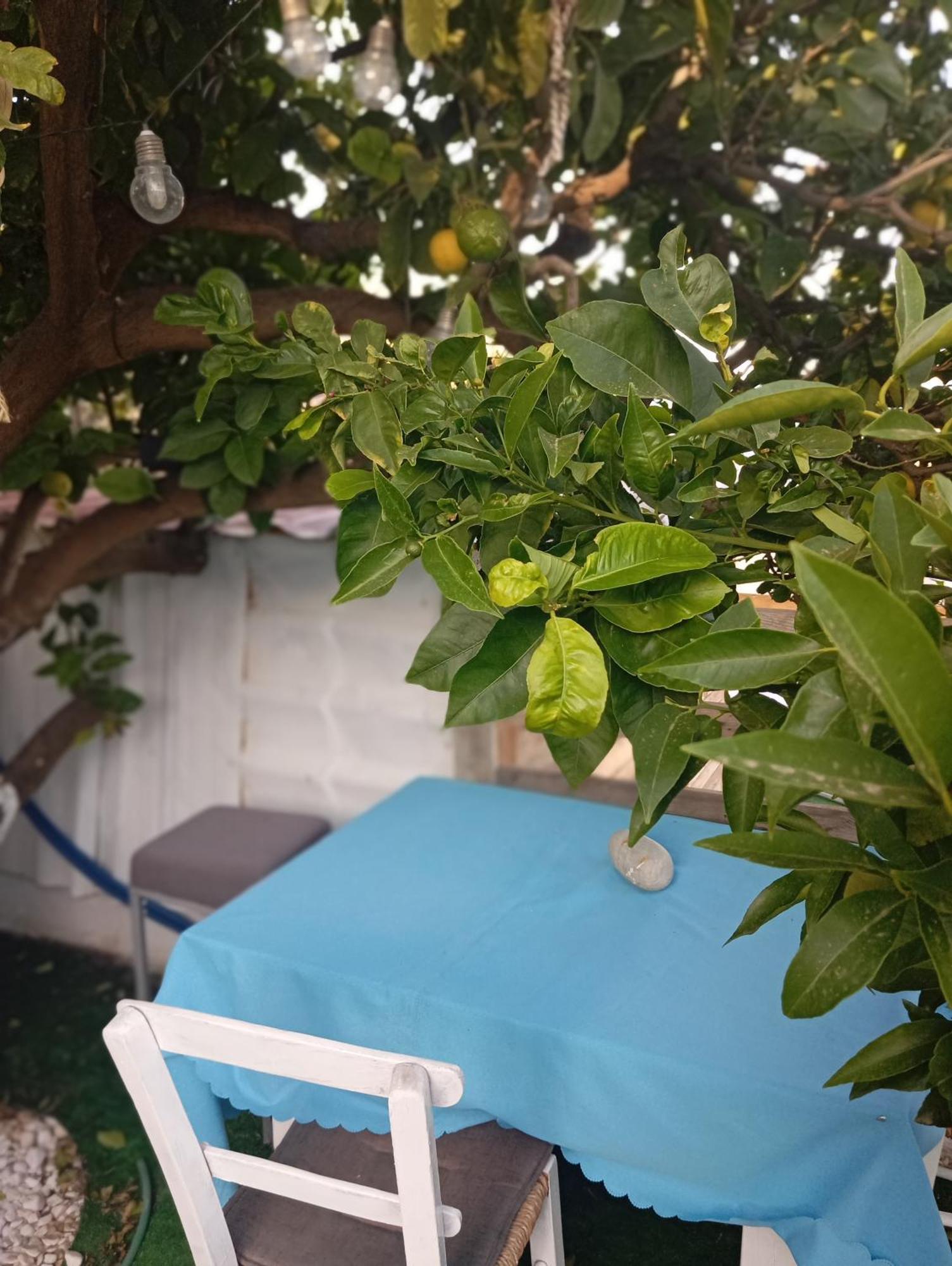 Queens Luxury Glamping Palaiokastro (Crete)